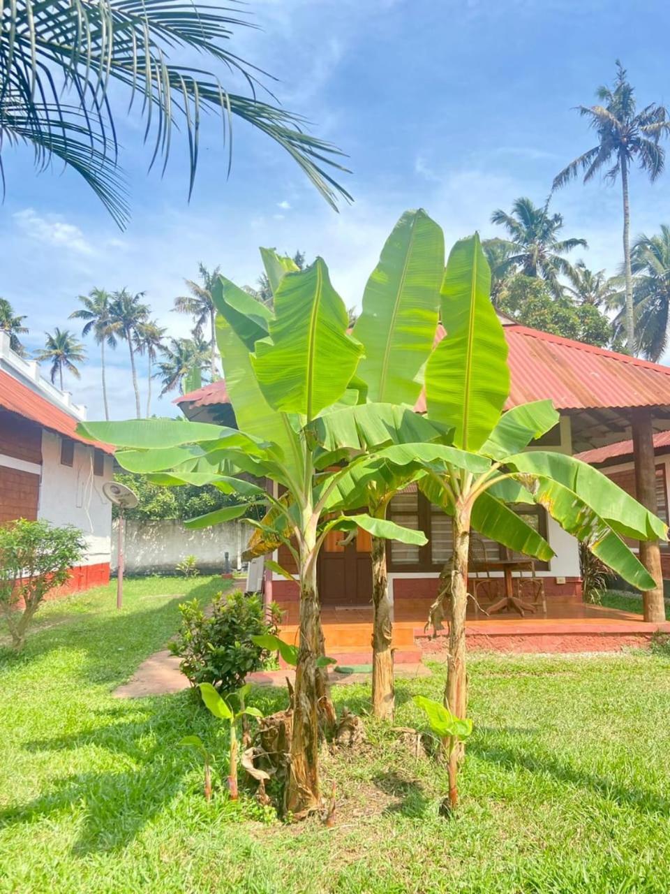 Hill View Ayurvedic Beach Resort Varkala Exterior foto